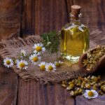German Chamomile, More Than Just a Soothing Tea.
