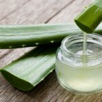 Cooling Aloe Vera:  Love Your Summer with this Nourishing Elixir