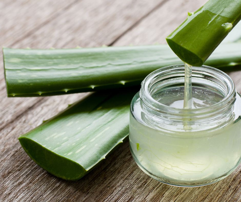 Aloe leaves and gel in a jar