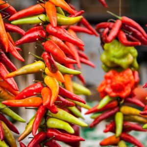 Strings of hot peppers