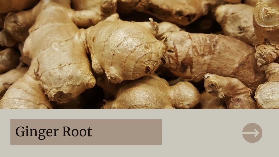 Ginger roots