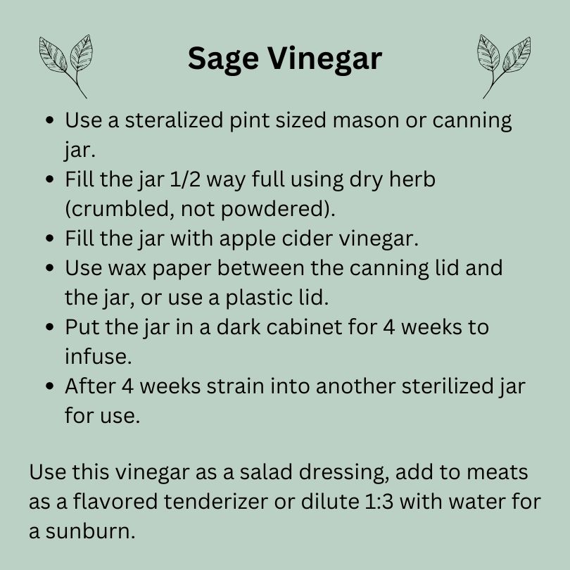 Recipe for sage vinegar