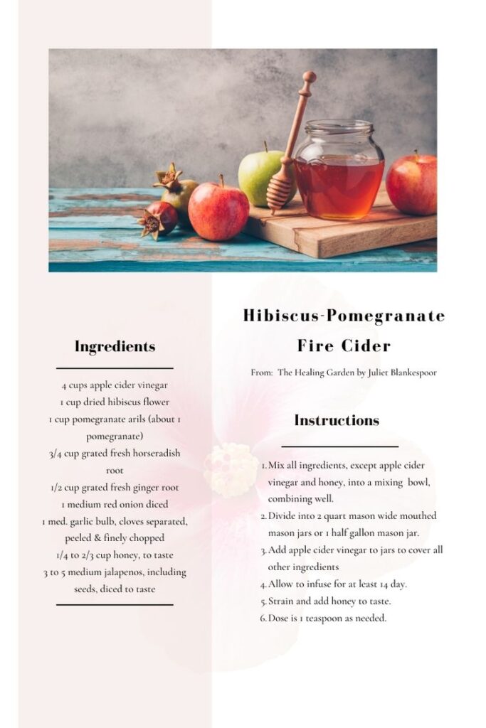 Fire cider recipe 2