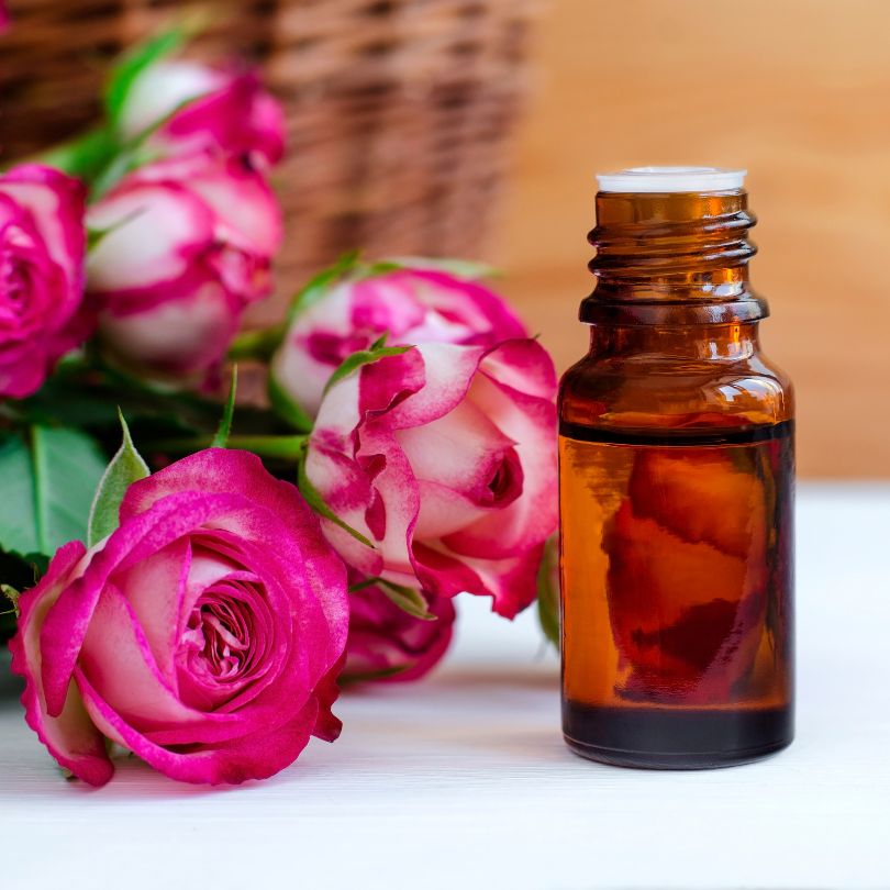Roses and rose essential oil