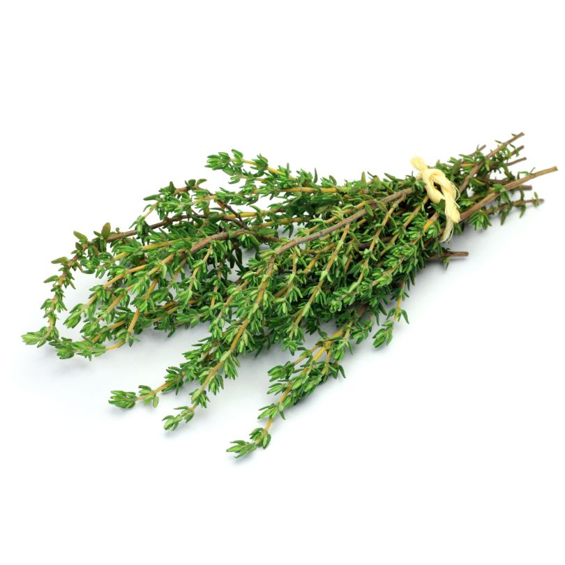 More Than Just a Seasoning: Thyme’s Unexpected Health Perks