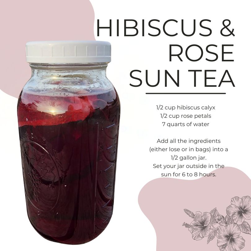 Hibiscus & rose sun tea