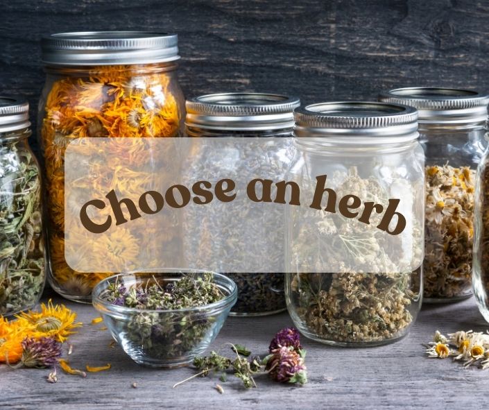 Jars of dried herbs to make infused oils with