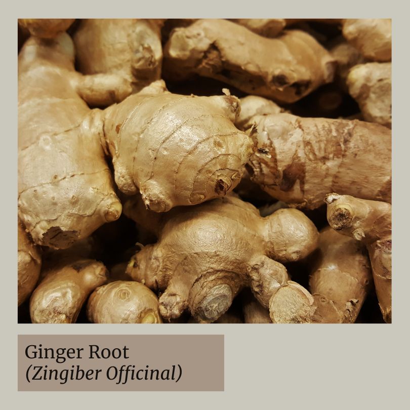 Ginger root for inflammation & pain