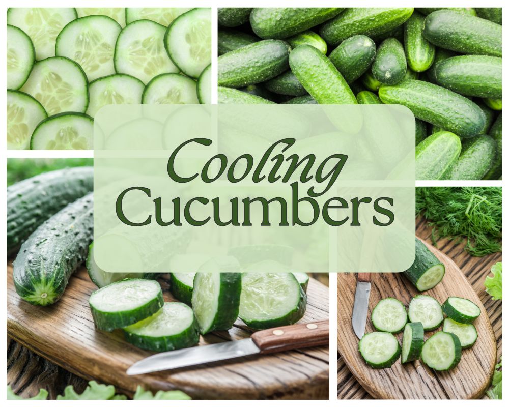 Cucumbers whole and sliced