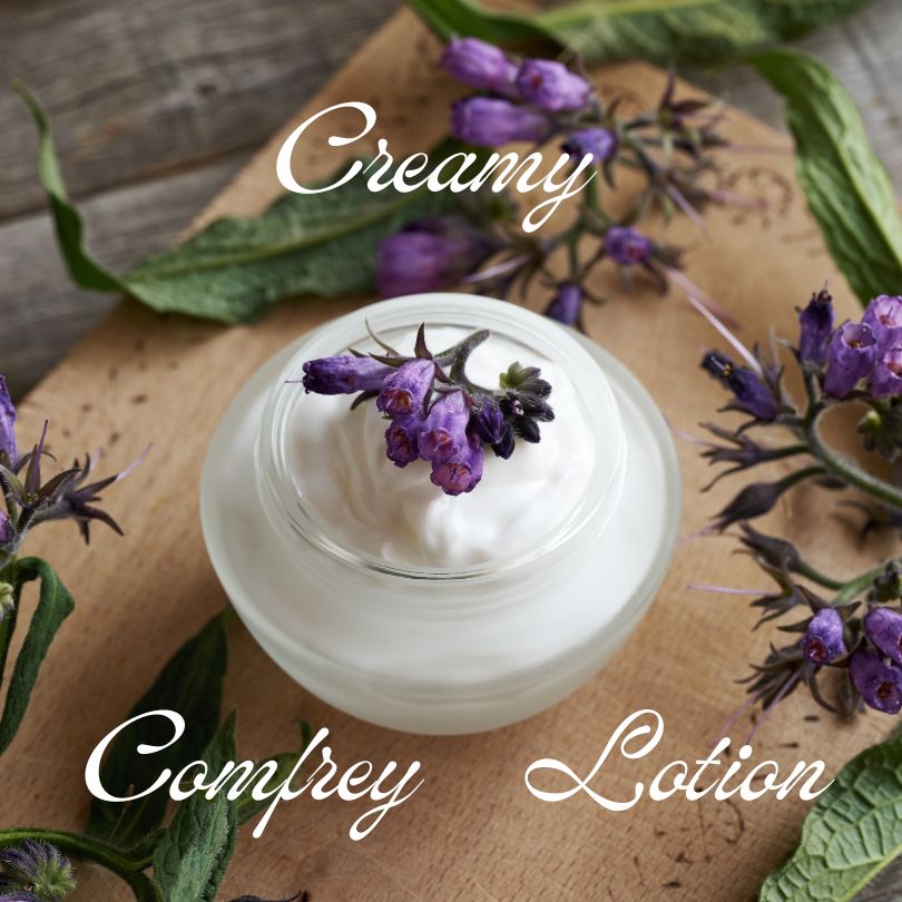 Comfrey lotion