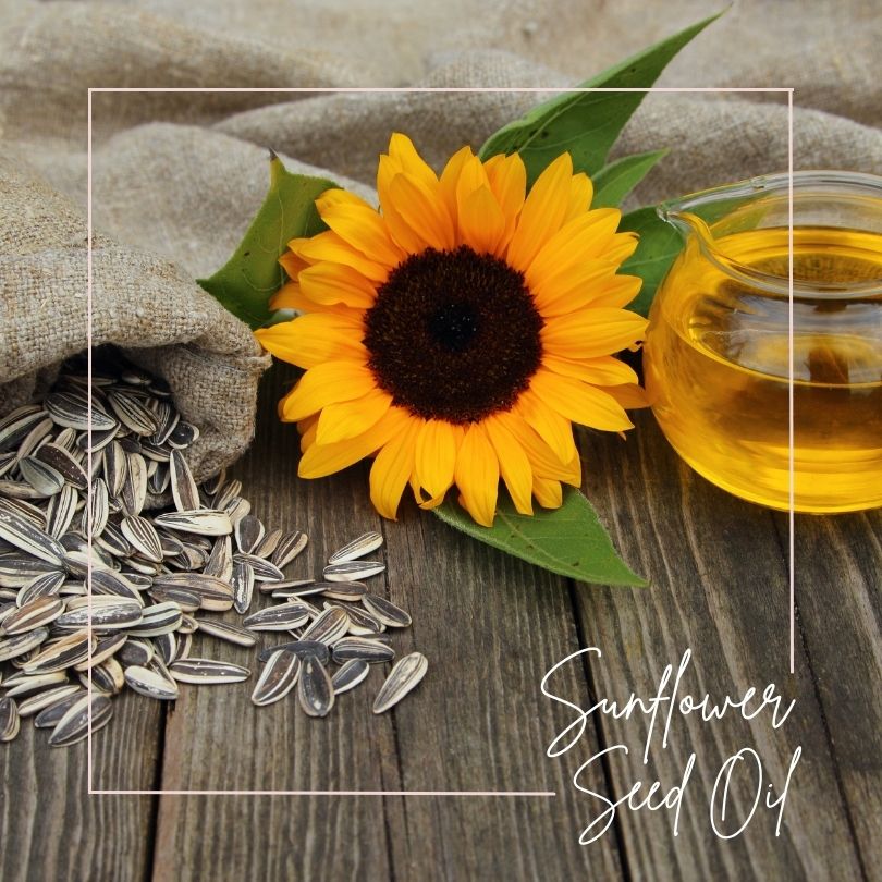 Sunflower Seed oil