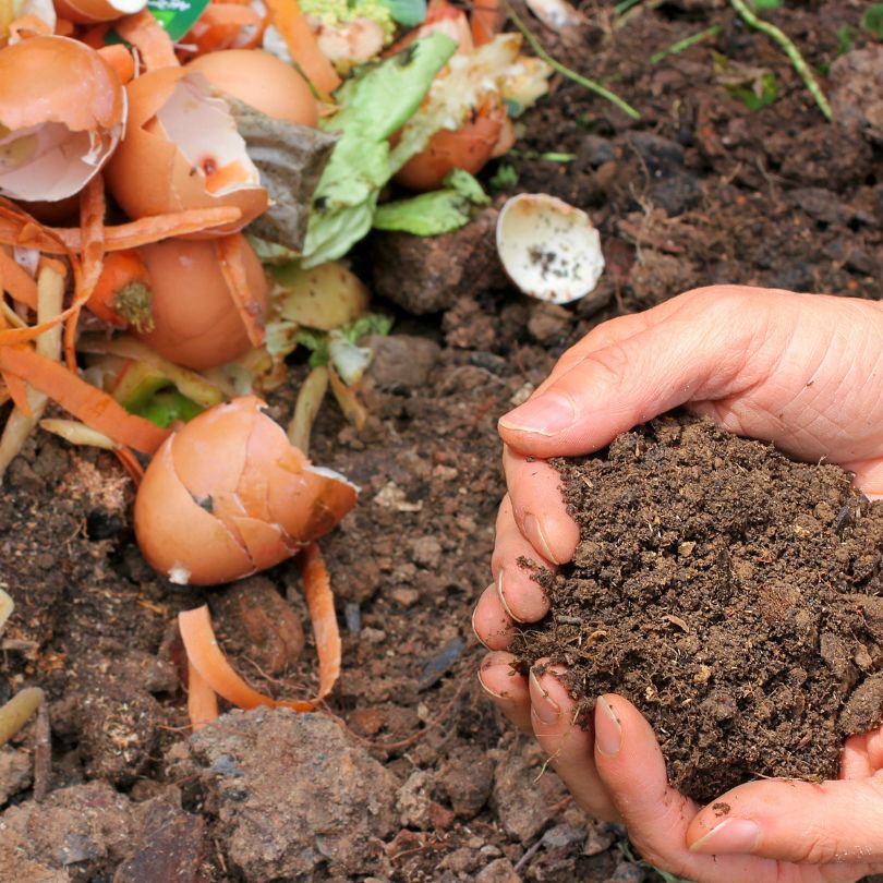 Compost