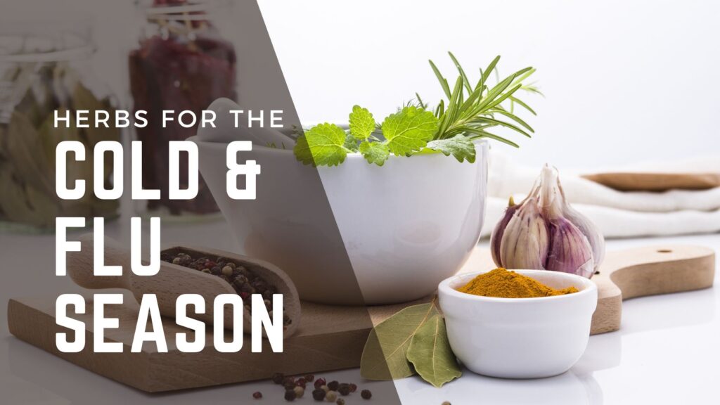 Herbs for the Cold & Flu Season