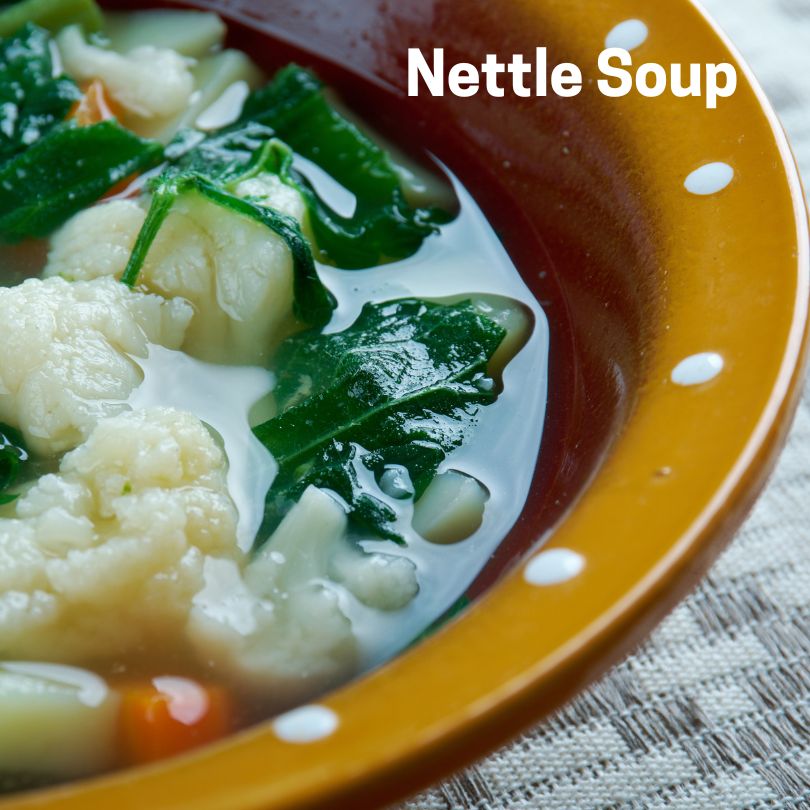 Nettle soup