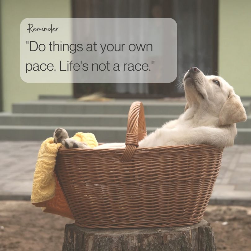 A puppy laid back in a basket as if relaxing.