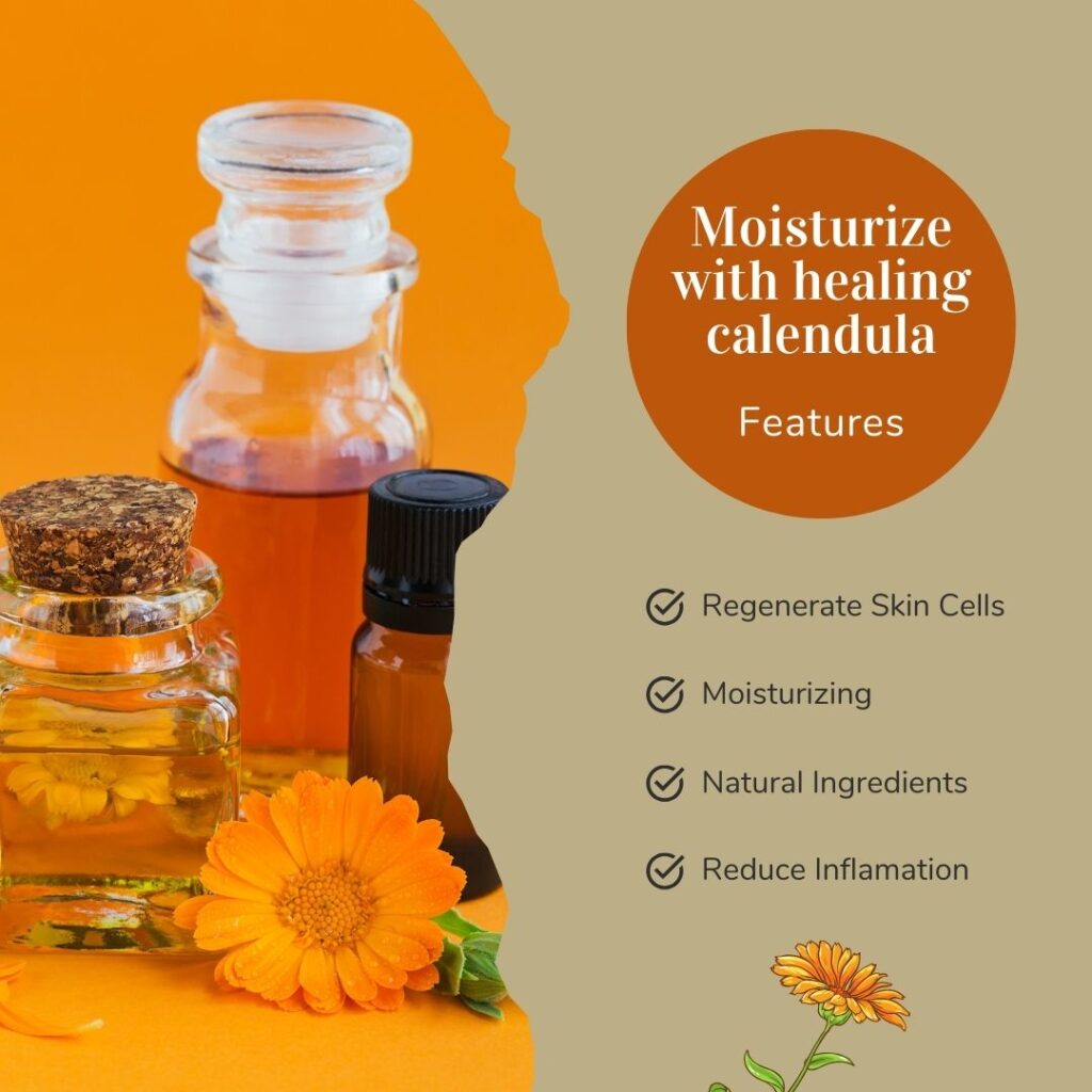 Calendula flower with how it's healing & moisturizing