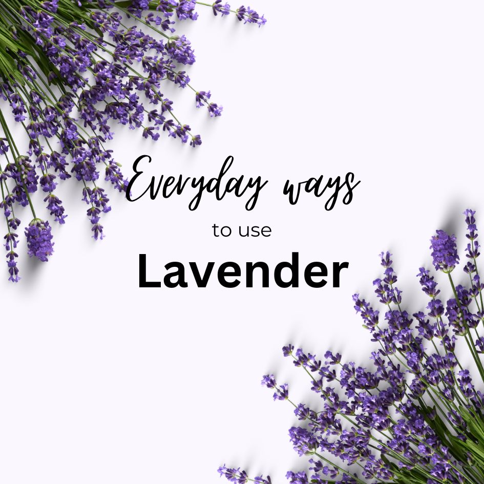 Lavender