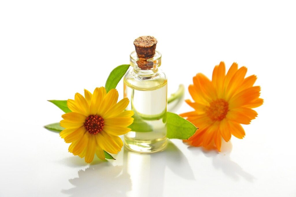 A yellow & orange calendula flower