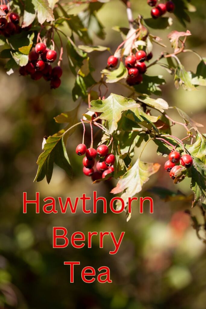 Hawthorn berry tea