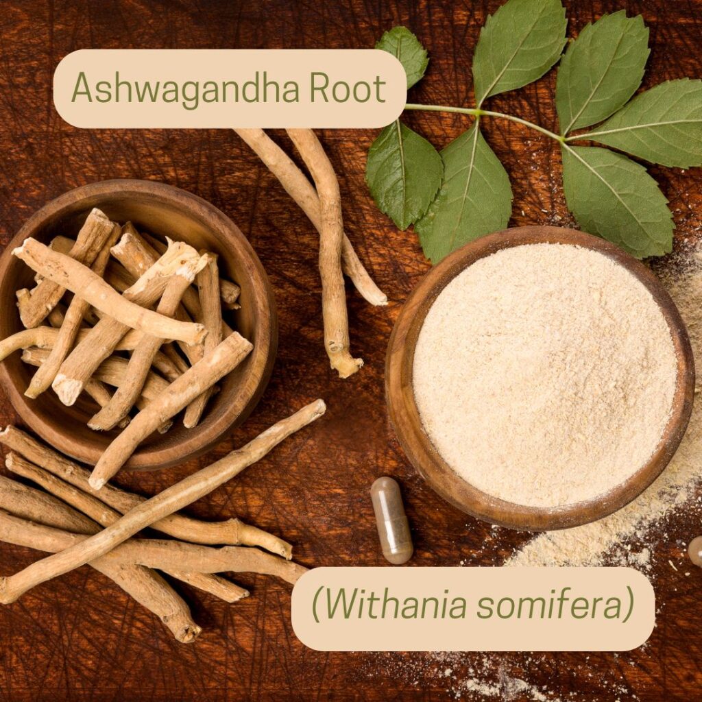 Ashwagandha  an adaptogen